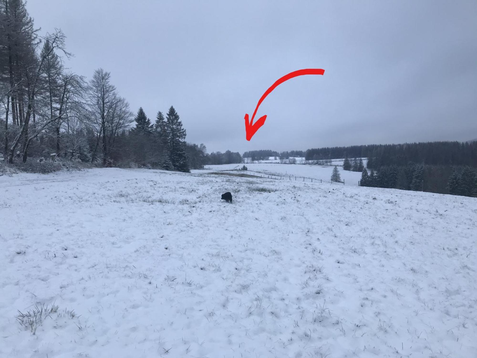 Vila Harzchen Sankt Andreasberg Exteriér fotografie